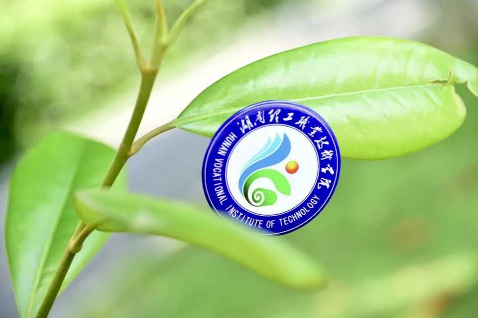 c85300f19870b6fe237e54b16d7d685.jpg 图片